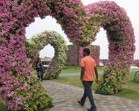 Vinukumar Vikramanchettiyar