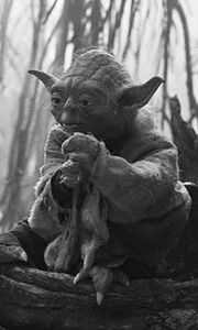 Илья Кузнецов