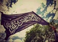 فاطمة عبدالرشيد