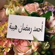 احمد رمضان ابو هيبة