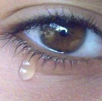 ನೆಲೆ ಇಲ್ಲದ