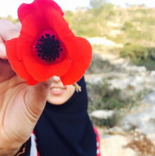 نورالاسلام درويش