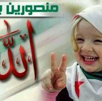 محمد وردي