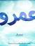 Amr Essam