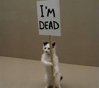 আফসানা বিথী