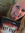 Linnea (dashthedog) | 6 comments