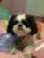 Thelma ...