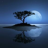 حسني بوزاهر