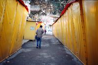 Ирина Пружина