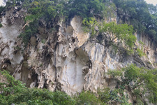 Nguyễn Gia Tuấn