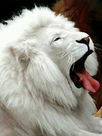 Vigneshwar Vigneshwar