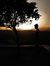 Arpit S...
