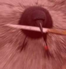 Mitchell Simpson Simpson