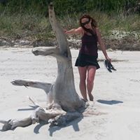 shellie Everhart