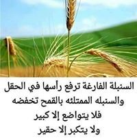 Mohammed Alsheikh