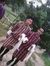 Arjun N...