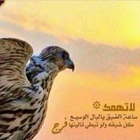 صقر الباديه