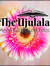 TheUjulala