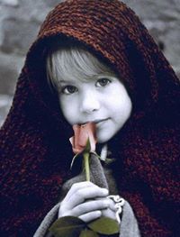 د.نعمه البكر