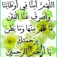 محمد عبداللطيف