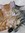Shannon Martinson (shannonm816) | 1 comments