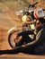 Vishal ...