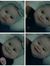 Emy Emam