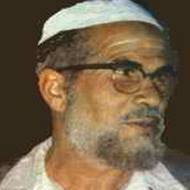 منصور المصرى