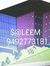 Saleem ...