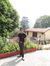 Ankit B...