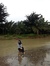 Indi Astuti