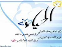 ام رقيه