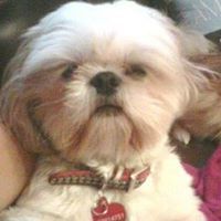 Barbie Janssen Jackson