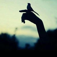 مرتضى الغزي