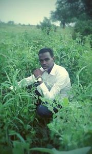 نصرالله دفع الله