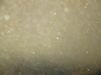 سمو الحارثي