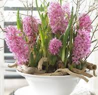 Цветелина Данева