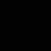 Surachet Puangsumalee