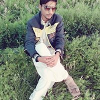 Shi Raz