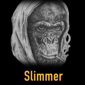 Goodreads profile picture for @slimmer