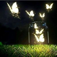 زهرة القرآن