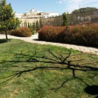 سلمى عابدين