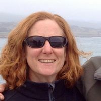 Wendi Shafir
