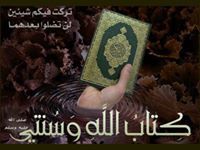 محمد عبد الكريم