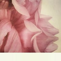 Holly Sirois