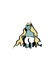 anps