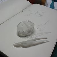 Jonathan Torres Rodriguez