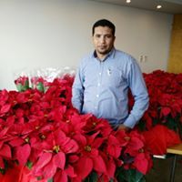 Salem Belal