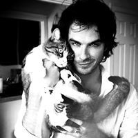 Damon Somerhalder