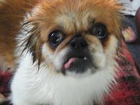 Lisa Pfankuchen-Joseph